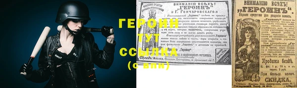 шишки Новодвинск